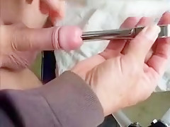 16 penis plug in