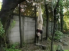 A bondage loving Asian hottie tied upside-down while sucking