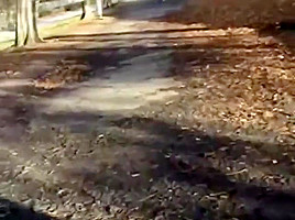 Alana Smith Flashing - British teen 18+ pussy in the park