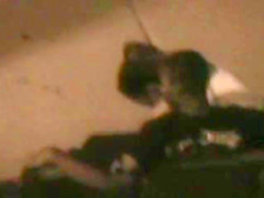 BENCH HEAD!!!!