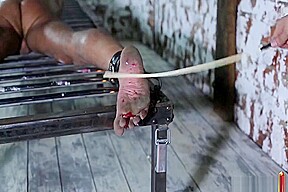 Bastinado Wax Electro Cock