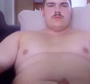 Bear From The Sofa To The Bed