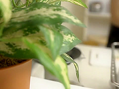 Best Japanese whore in Incredible HD JAV clip