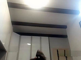 Big live dildo anal fuck