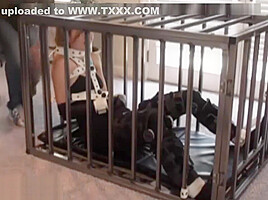 Bondage girl in cage