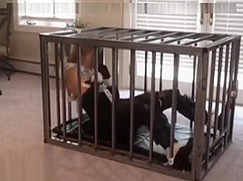 Bondage girl in cage