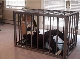 Bondage girl in cage