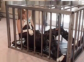 Bondage girl in cage