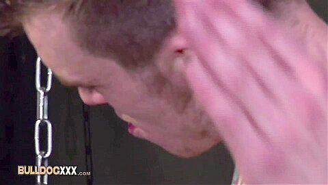 BullDogXXX com - My new found sex-slave