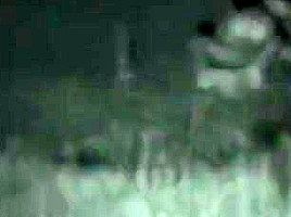 CLIP #207 _ Voyeurismo Public Sex
