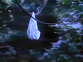 Carolyn Houlihan Naked In The Burning