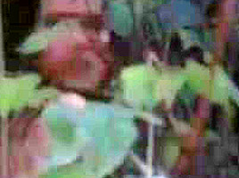 Carolyn Houlihan Naked In The Burning
