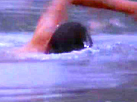 Carolyn Houlihan Naked In The Burning