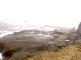 Cecilia Grout - near the sea