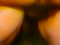Classic Tanya Foxx (Don Fernando, FM Bradley, Ray Victory)