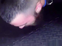 Cockhungry bear plowed raw and rimmed