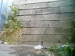 Compilation of chicks secretly filmed pissing outdoors