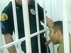 Cop Corruption