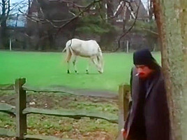 Country Life-Vintage 70s-Yassar