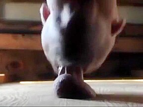Cum sucking compilation