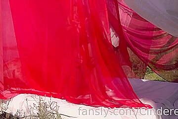 Dancing In The Wind