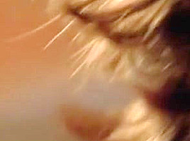 Denise Richards Neve Campbell Threesome sex (no music)