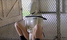 Detainment