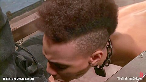 Ebony Stranee Suck And Fuck Huge Dick