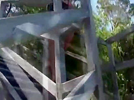 Excellent porn clip Pornstars great just for you