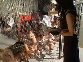 Exotic Japanese chick in Horny Fingering, Dildos/Toys JAV video