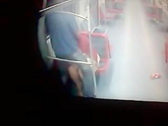 Flagra no Trem