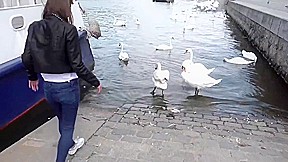 For the money a girl showed a strangers Boobs and sucked on the street   