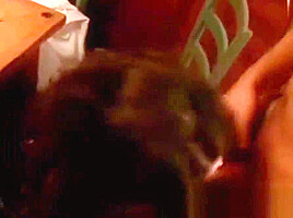 German Anal Compilation