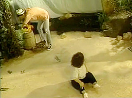 Gidget the Midget