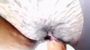 Ginger Paris Nasty Sugar Skull Masturbating & Sucking