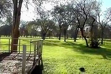 Handjob Blowjob From Stranger On Bike Ride