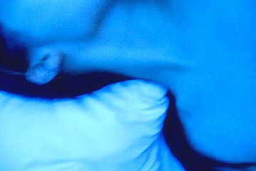 Homemade video of a couple fucking before going to bed
