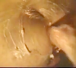 Hottest gay video with Fisting scenes