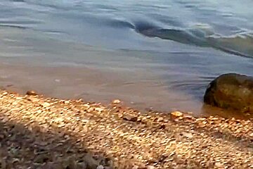 Hungarian Amateur Gipsy Slut fuck in public Duna Budapest