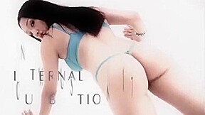 Internal Cumbustion 17