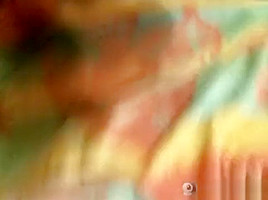 JR@bb1t multi-squirt rearview standing