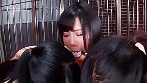 Japanese Lesbians Bound Ballgag Threesome