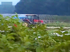 Japanese babe fucked in a farm field - Pompie