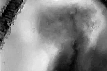 Lady Shows All 87 (Darksome and White Vintage)
