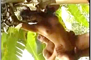Latina Chick Gets Rammed Outdoor