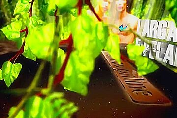 Lets Enjoy Jungle Boys Videos