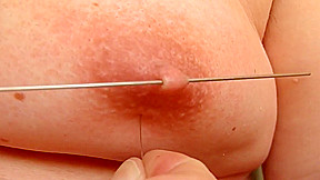 Long skewer and accupuncture needles