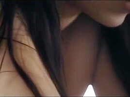 Look Here - Antonia Sainz