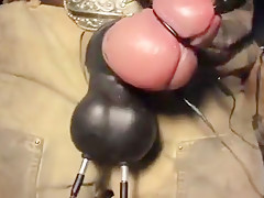 MOOSE JOCK MASTURBATION