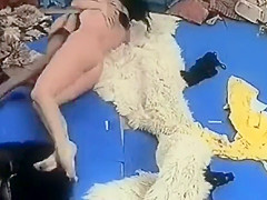 Milf Destruction